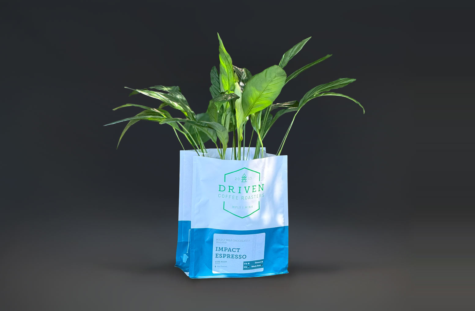 Inside the Bag: How Savor Brands Brings Sustainability to Life thumbnail