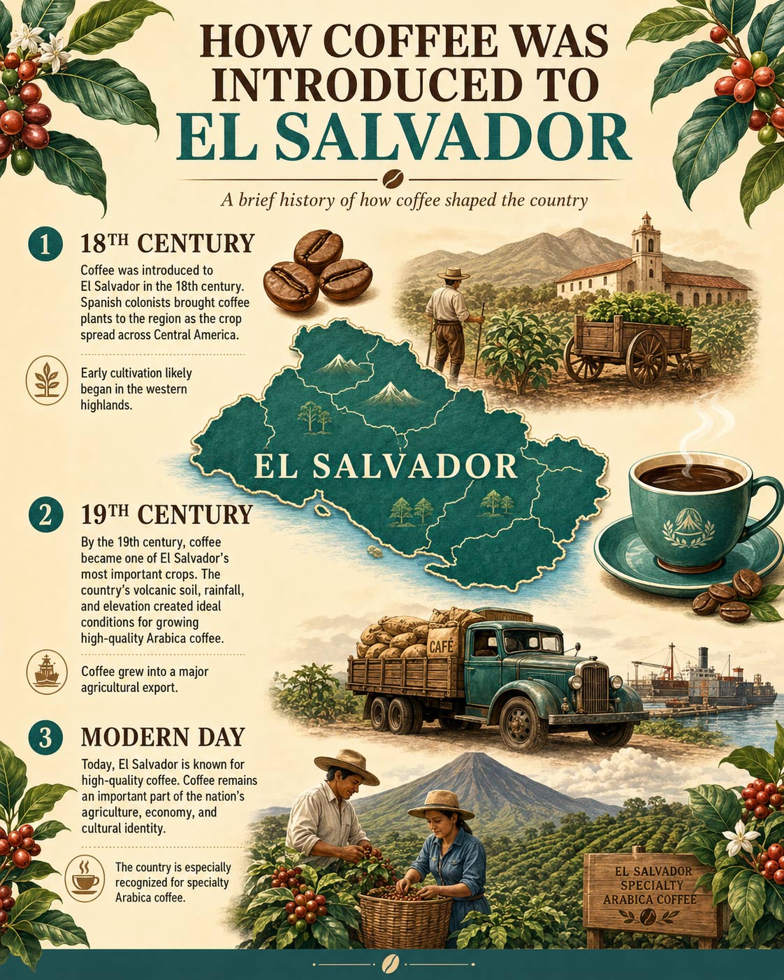 Cerezas maduras de café Arábica de las variedades Bourbon y Pacamara listas para la cosecha en El Salvador