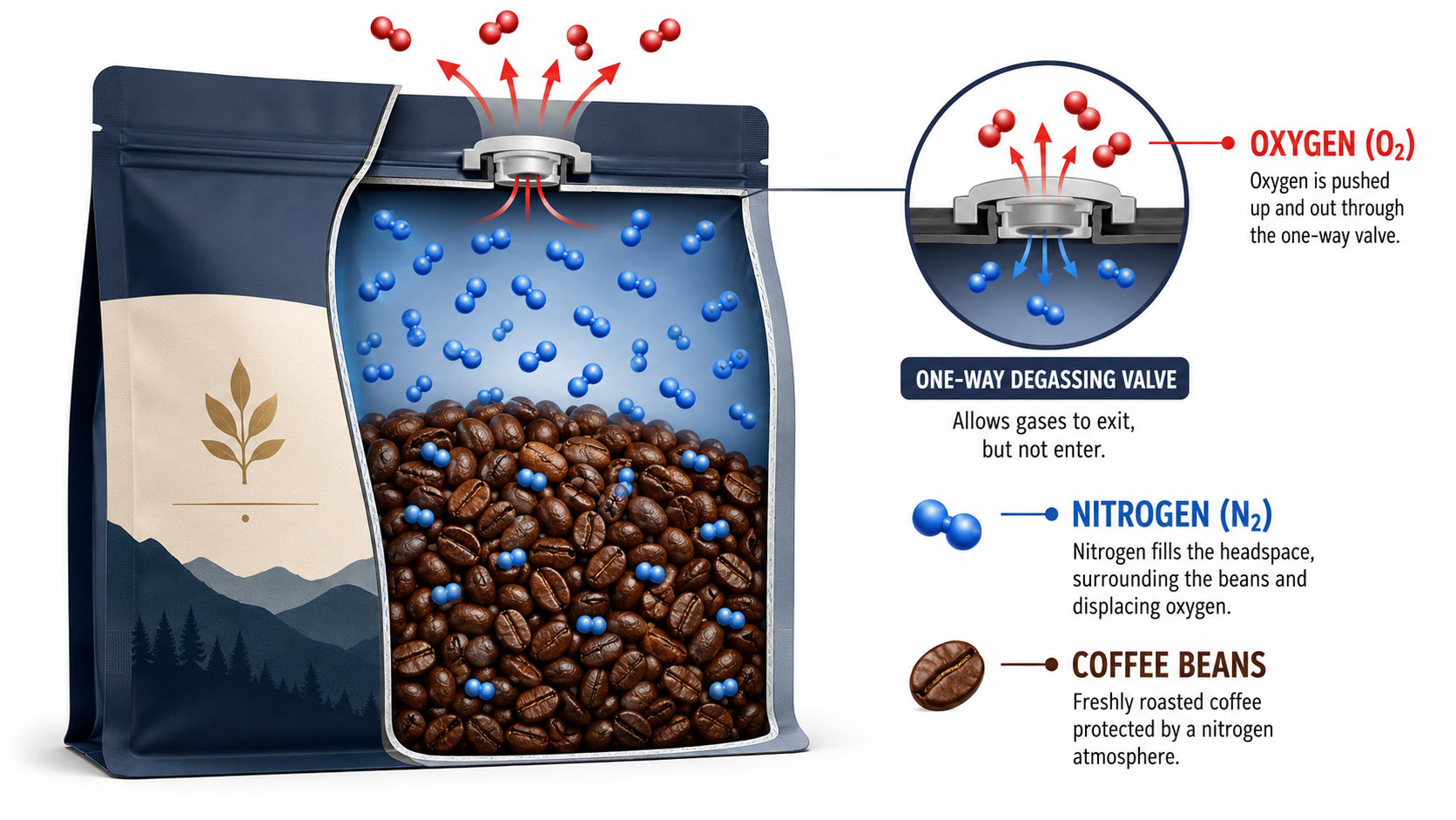 Cutaway illustration of a sealed stand-up pouch with nitrogen filling the space around coffee beans as oxygen is pushed out