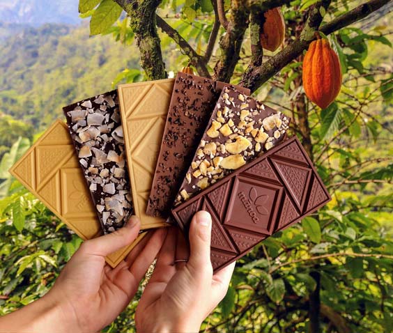 Parlons cacao avec Mānoa Chocolate (Oʻahu, Hawaï) thumbnail