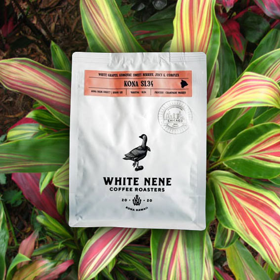 Custom Coffee Packaging White Nene Coffee Roasters
