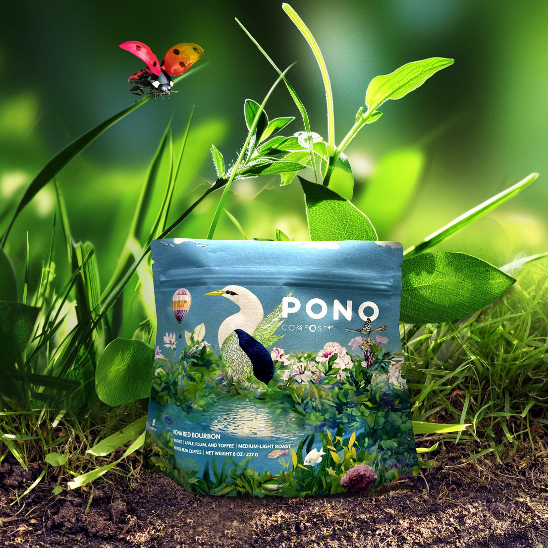 How Custom Coffee Bag Design is Evolving for a Sustainable Future thumbnail