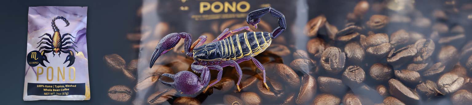 PonoScorpContent