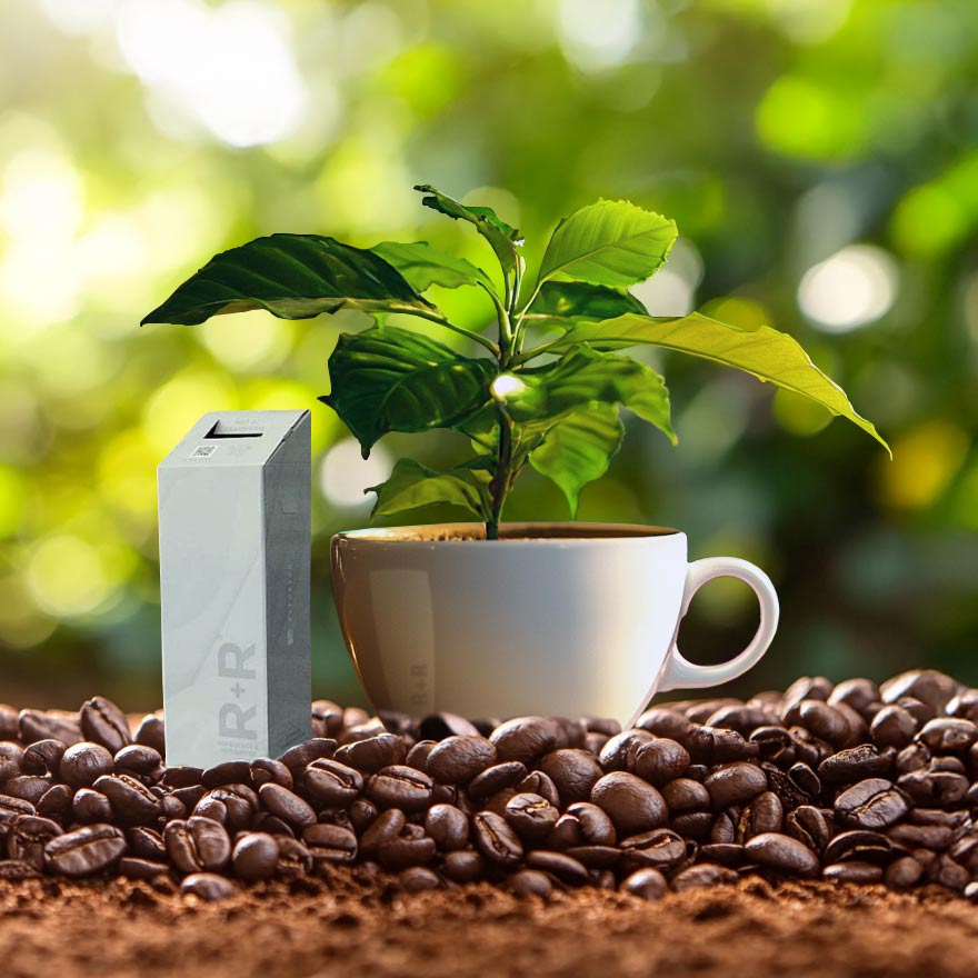 Your Year, Your Impact: Sustainability with Savor Brands thumbnail