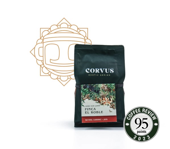 corvus 02
