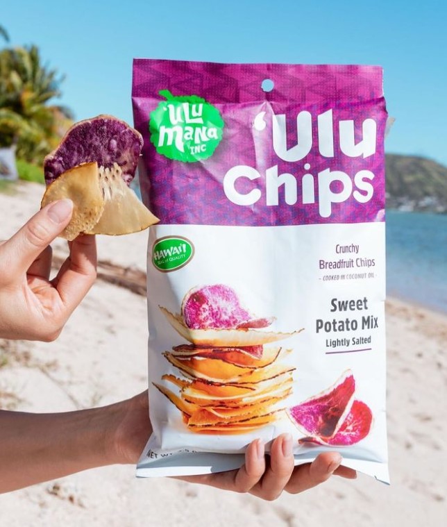 uluchip01